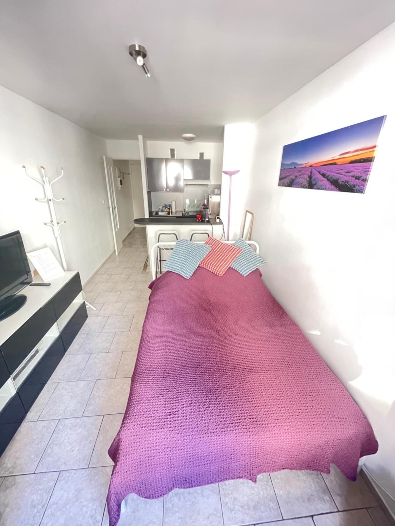 Small Appartement Nice Luaran gambar